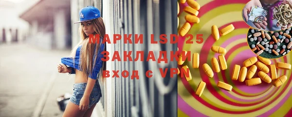 трава Сясьстрой
