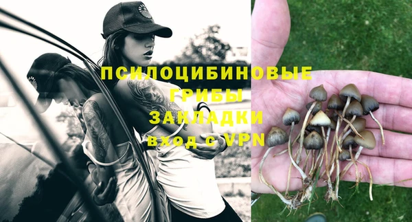 трава Сясьстрой