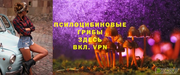 соль ск Тавда