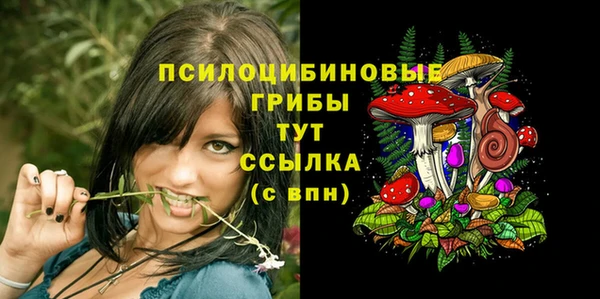 мдпв Беломорск