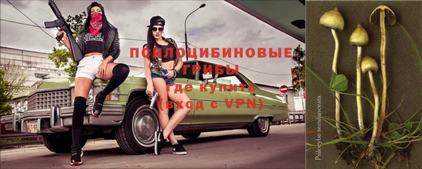 мдпв Беломорск
