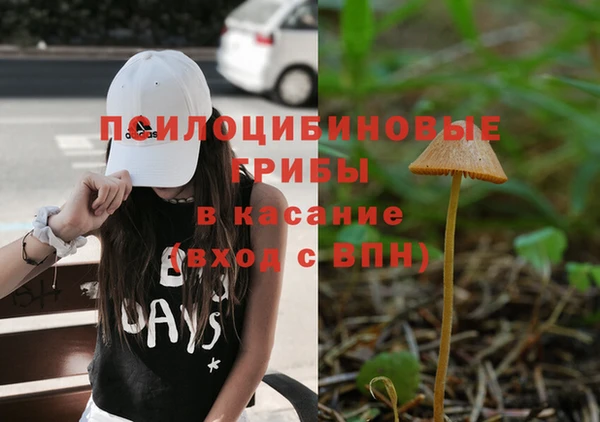 гидропоника Тайга